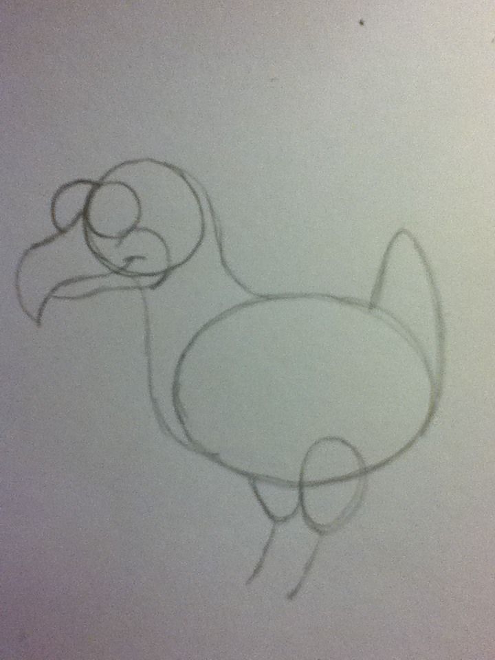 Simple Dodo How To Draw Dodo Bird Step By Step