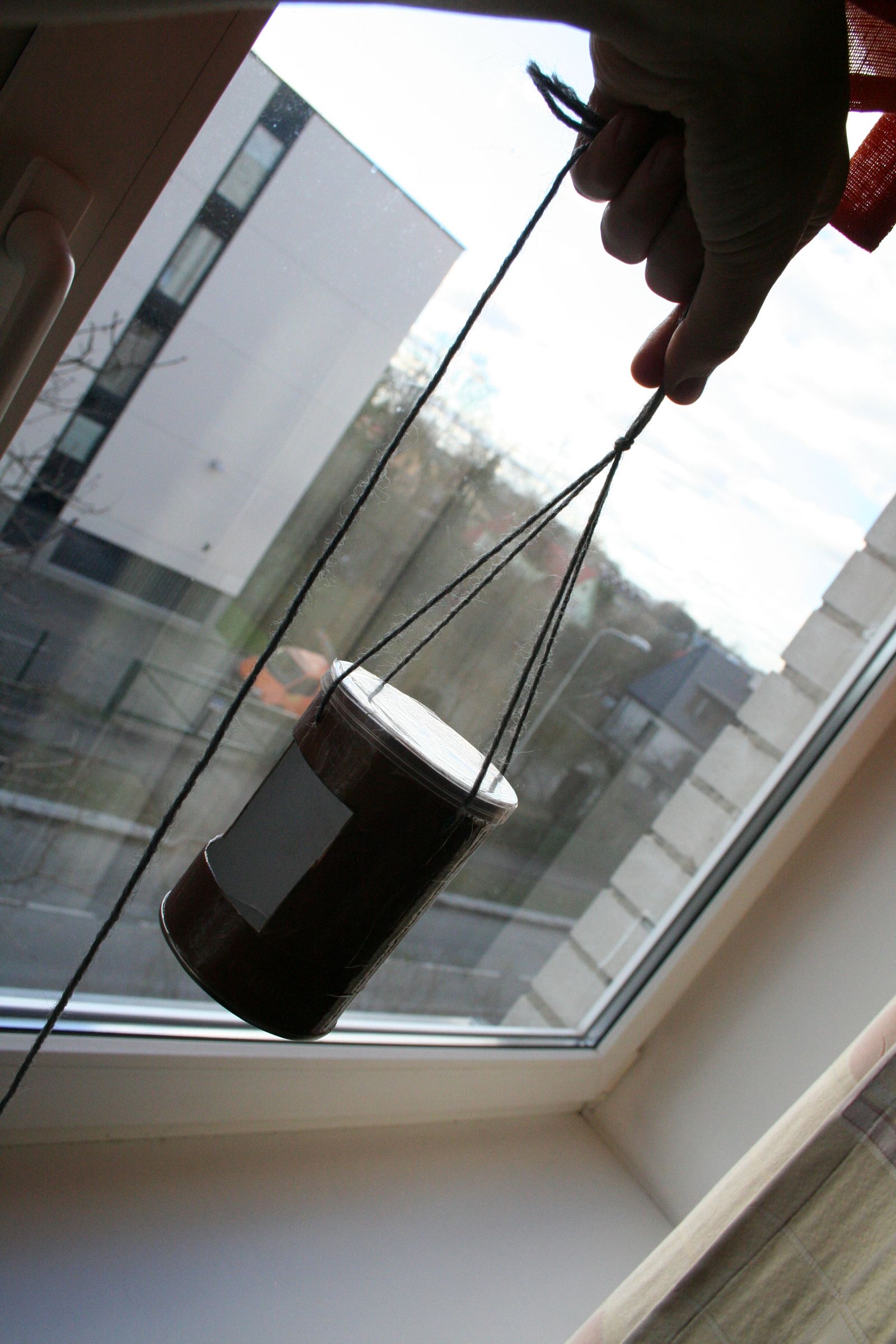 Springles Can Bird House (tee Ise Linnumaja)