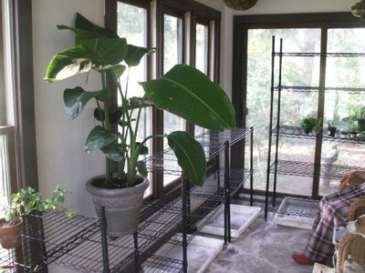 Convert Porch Into Greehouse