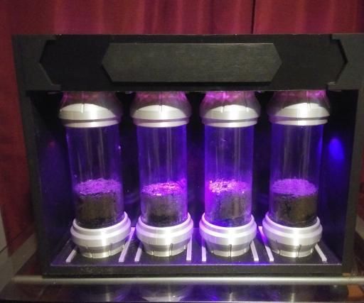 How to Make a Sci-Fi Inspired Terrarium