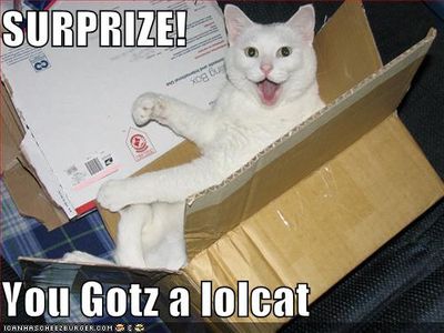 LOLCATS