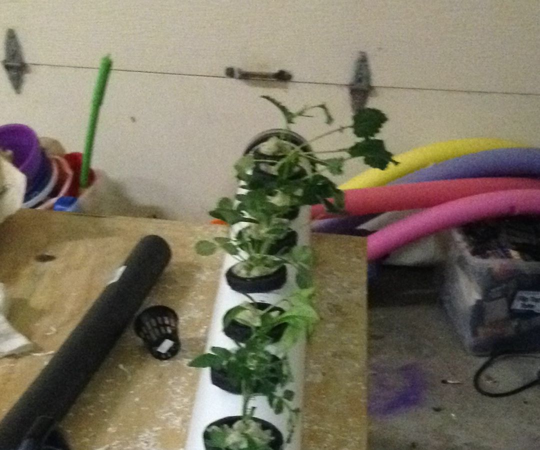 Hydroponics System