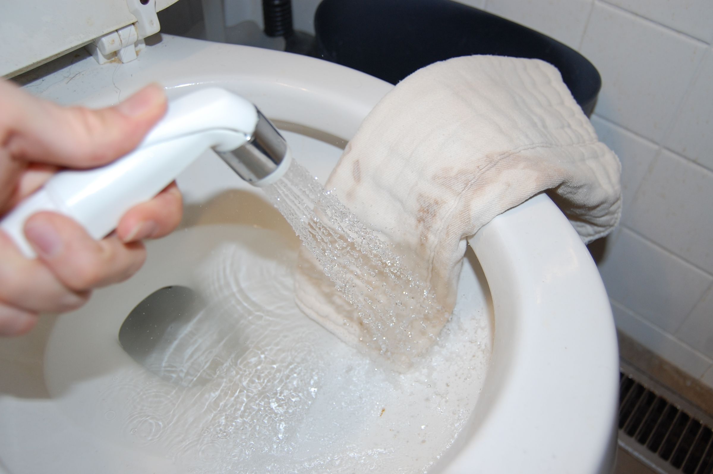 Add a Shower to Your Toilet