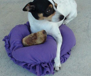 No-Sew Dog Bed Out of an Old T-Shirt!