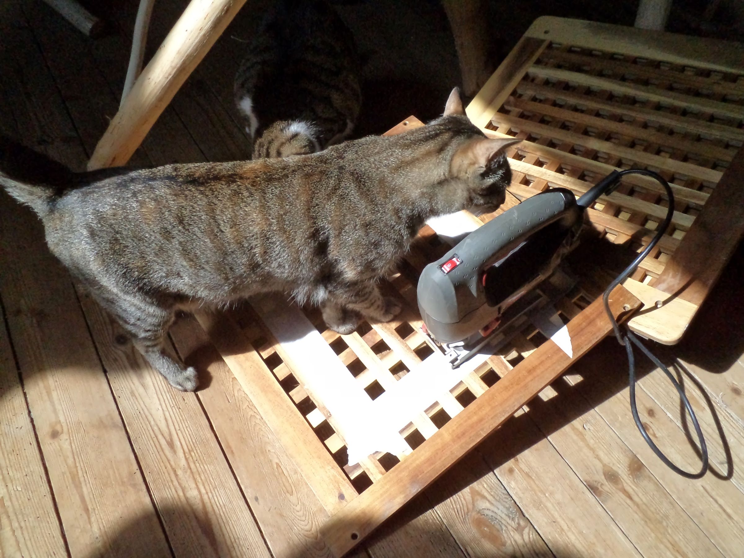 Elegant Ikea Hack Litterbox : 3 Steps (with Pictures) - Instructables