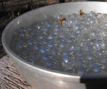 Easy Bee waterer