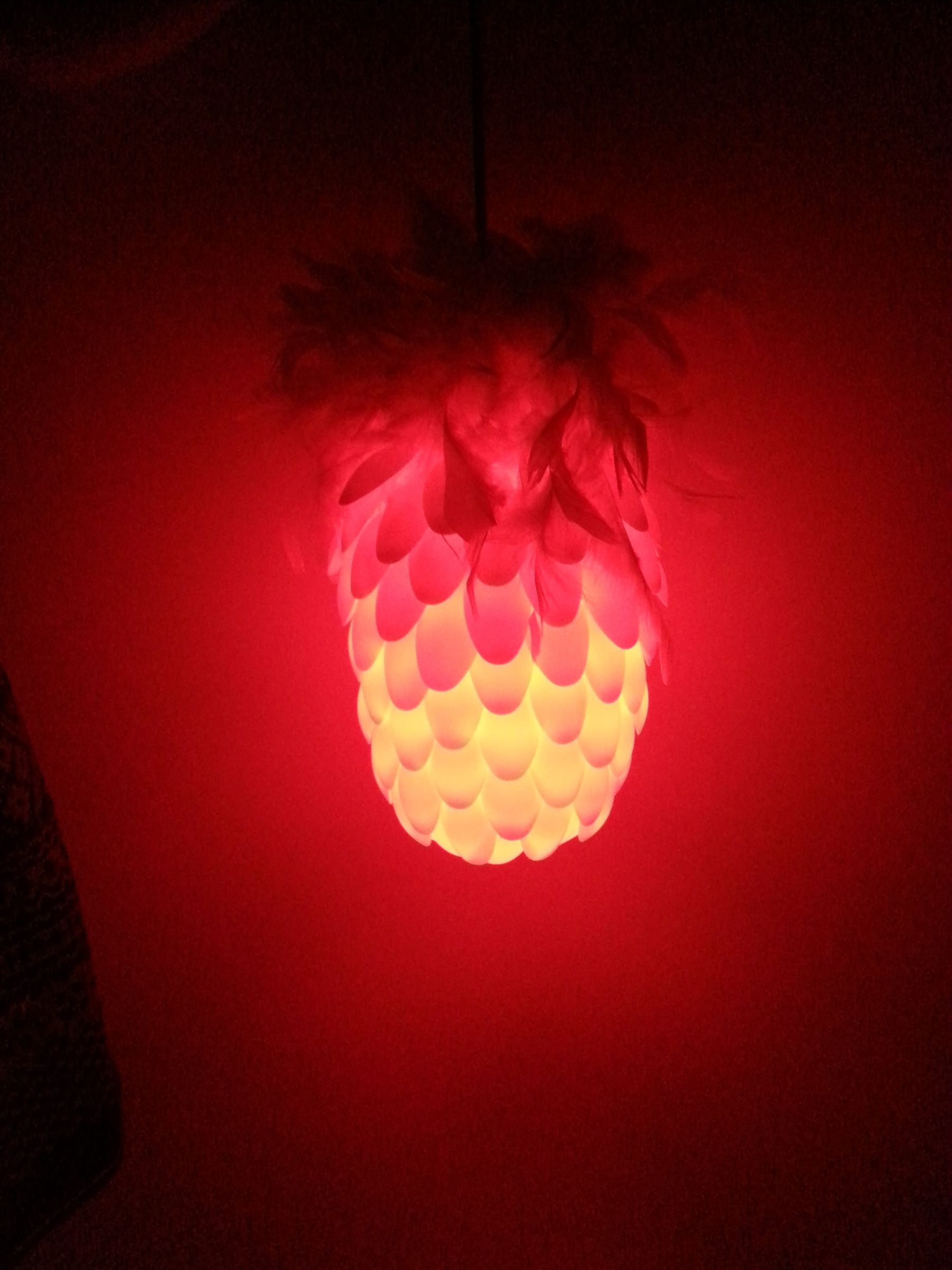Rainbow Pinecone Spoon Light