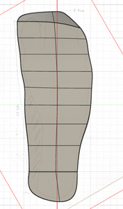 Map Sole Form and Depth to Foot