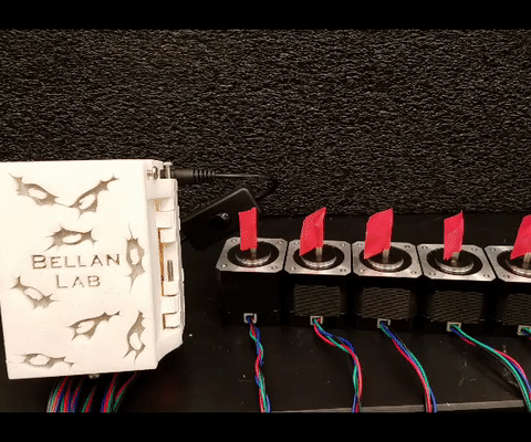 Custom Peristaltic Pumps (x6)