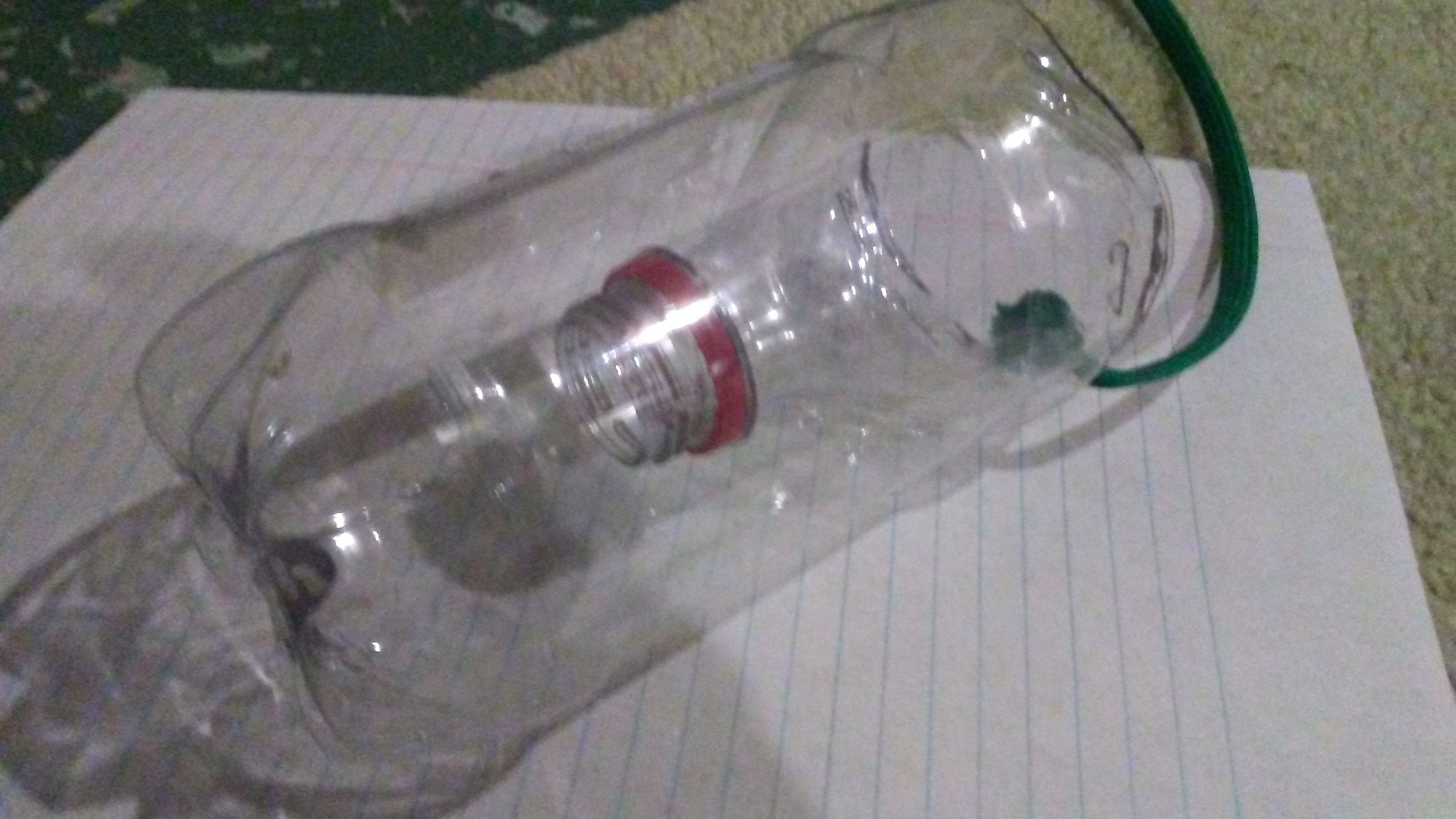 Survival Minnow Trap