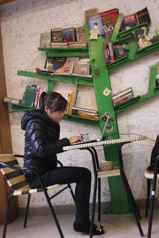 Tree Bookshelf 