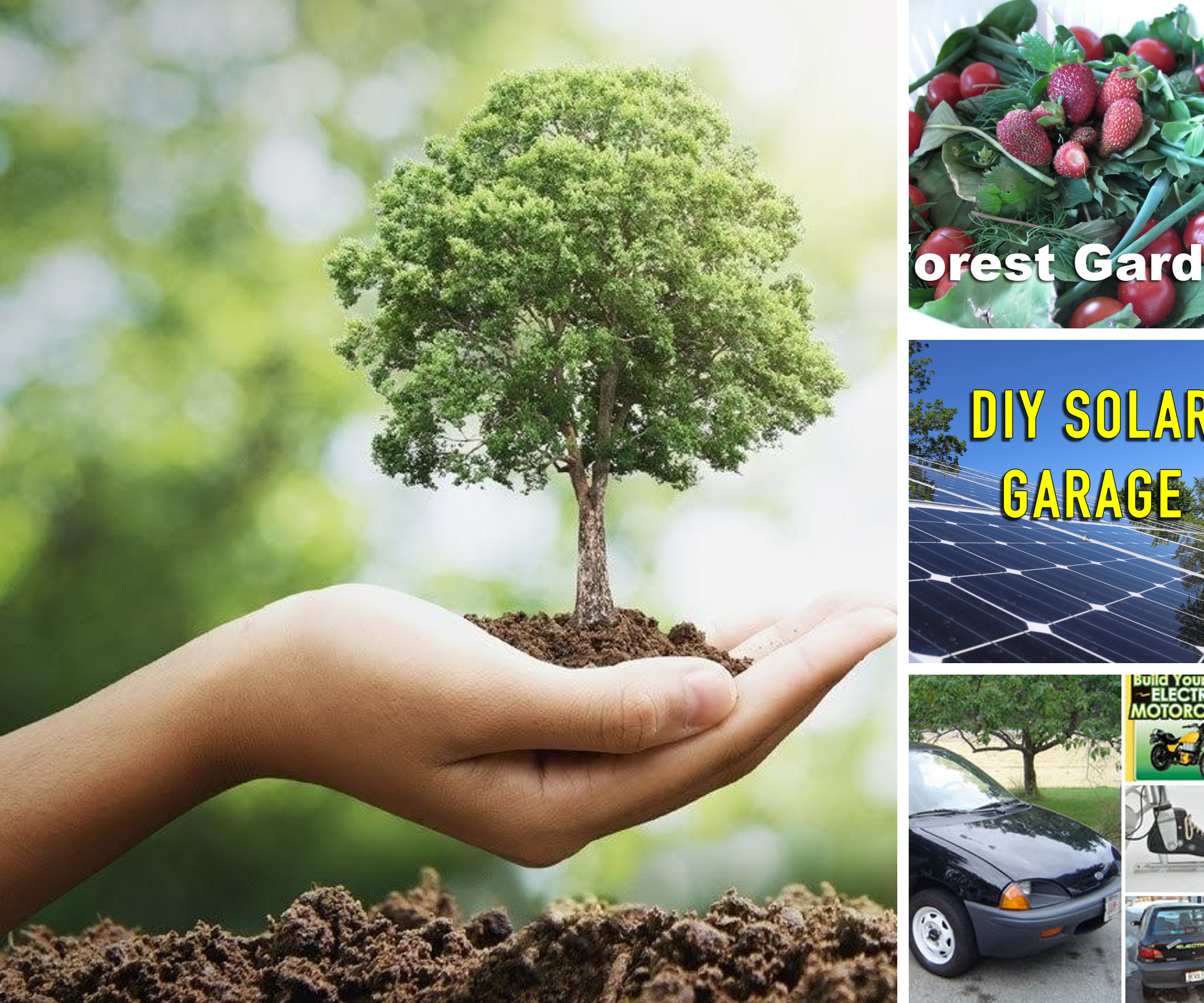 Global Warming Reversal Tech