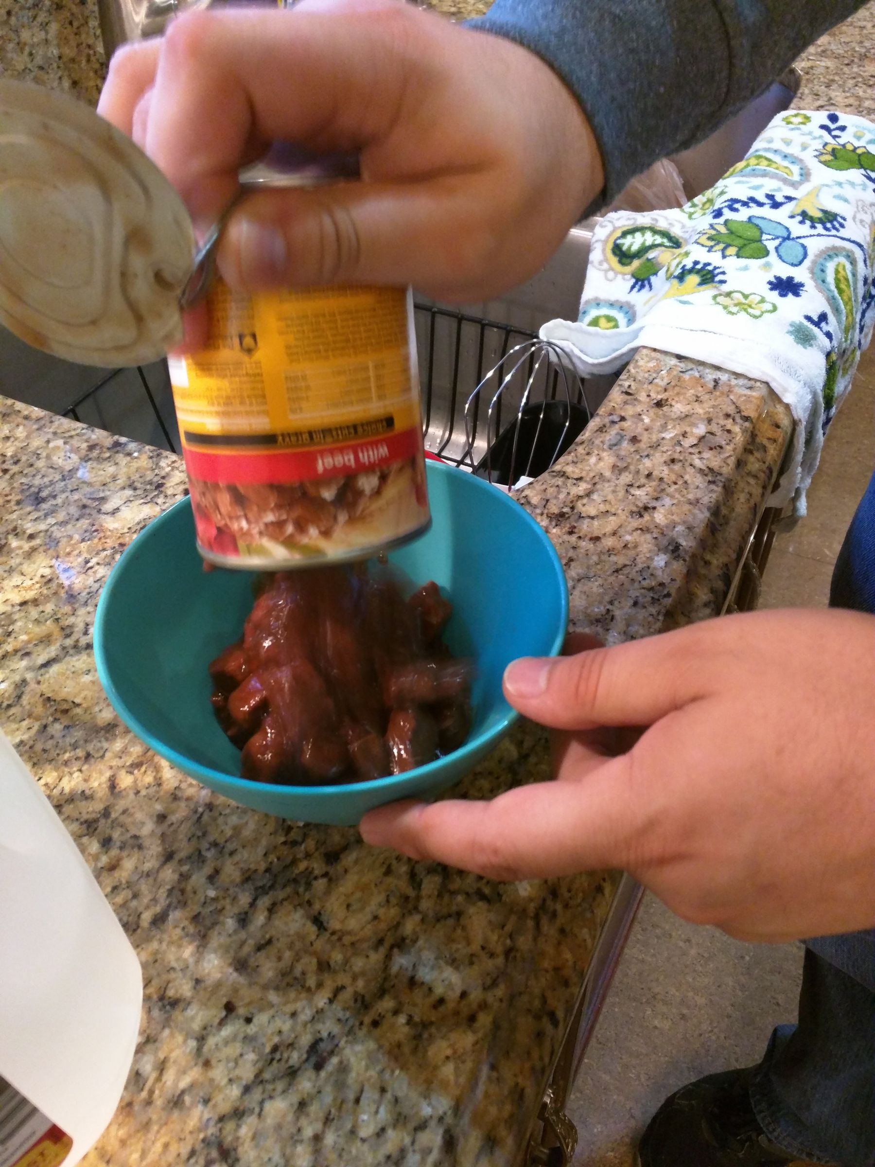 how-to-eat-dog-food-6-steps-with-pictures-instructables
