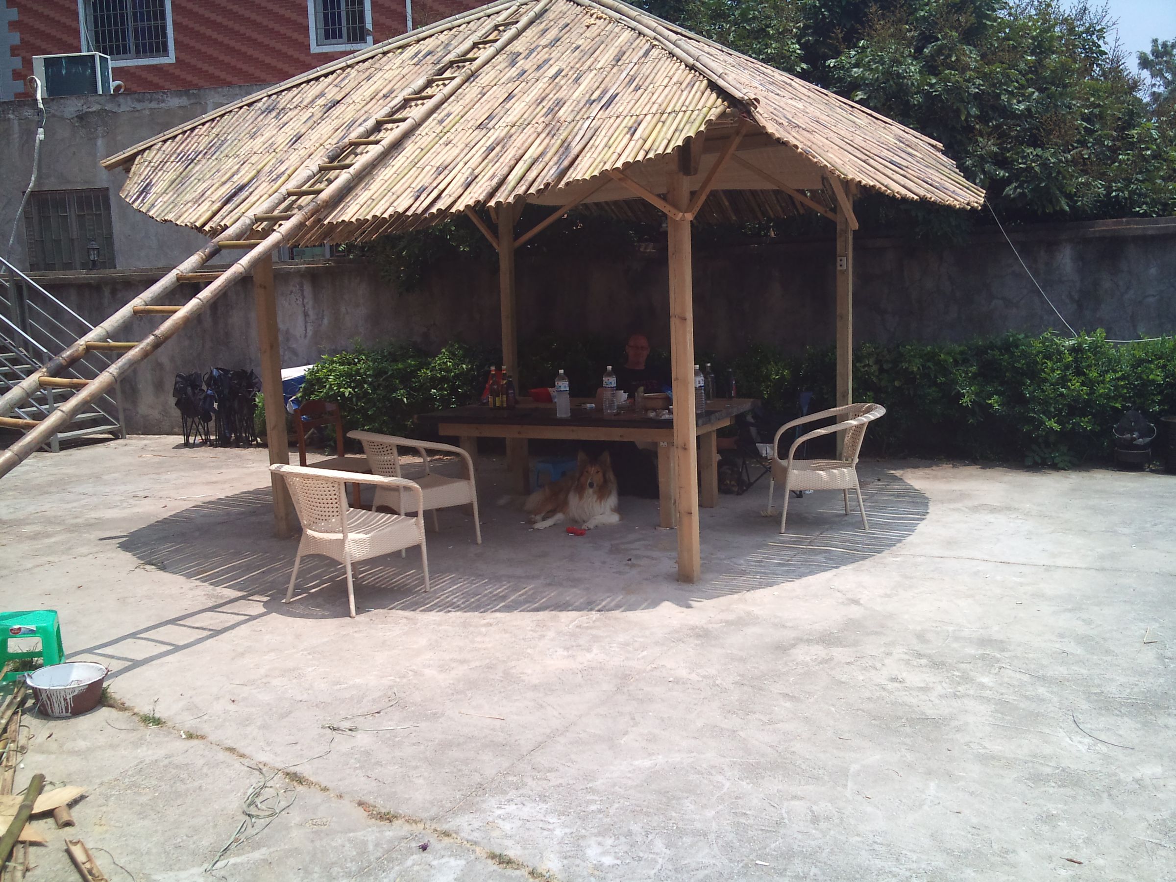 Bamboo Roof Tiki Hut