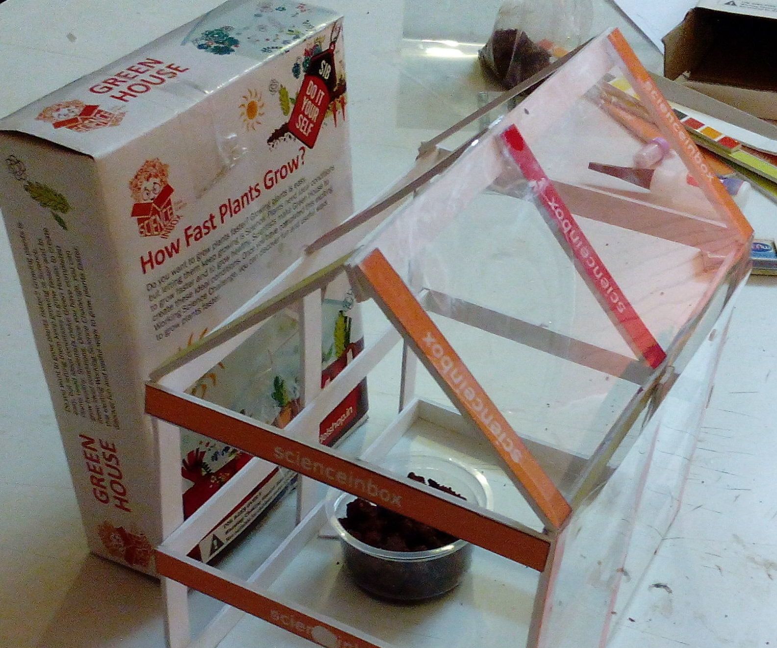 Make Your Own Greenhouse - How Fast the Plants Grow