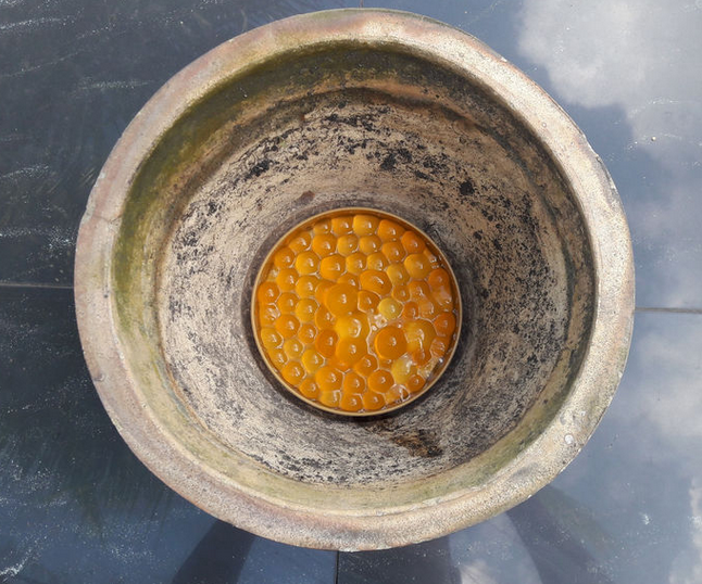 Water Less Planter