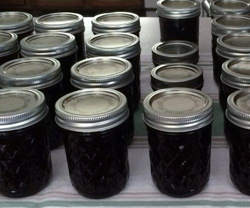 Blueberry Lemon Jam