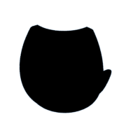 download {{ file.name }}