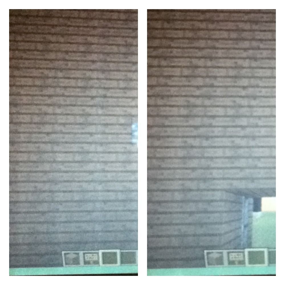 MineCraft Hidden Piston Door