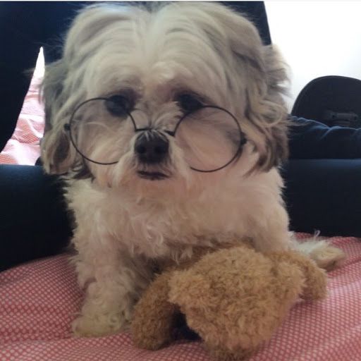 author