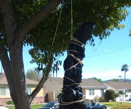 Just Hanging Around, a Day in the Life of an Average Corpse