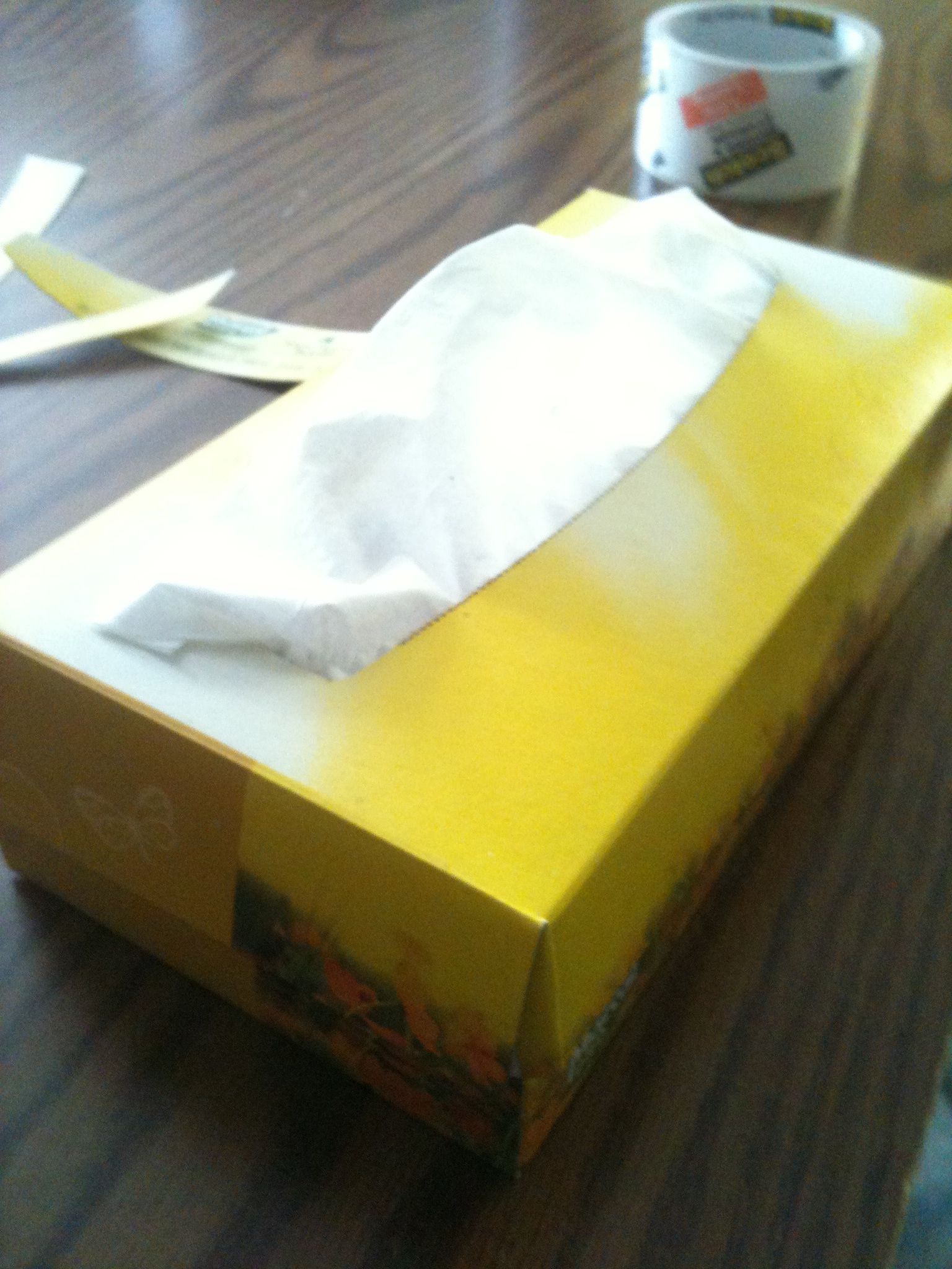 Tissue Box Hidden Compartment