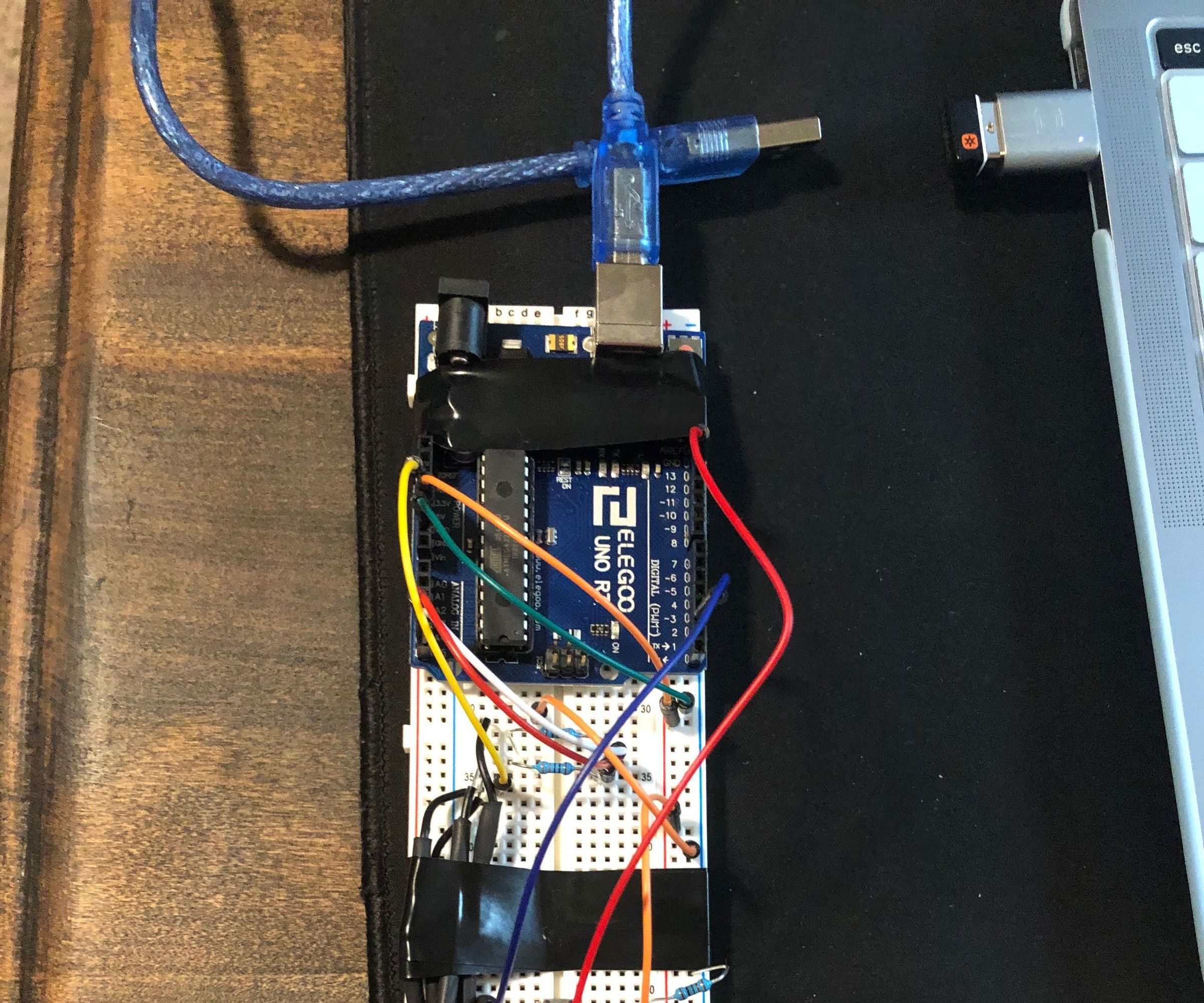 Impact Force on a Runner's Heel and Leg While Running