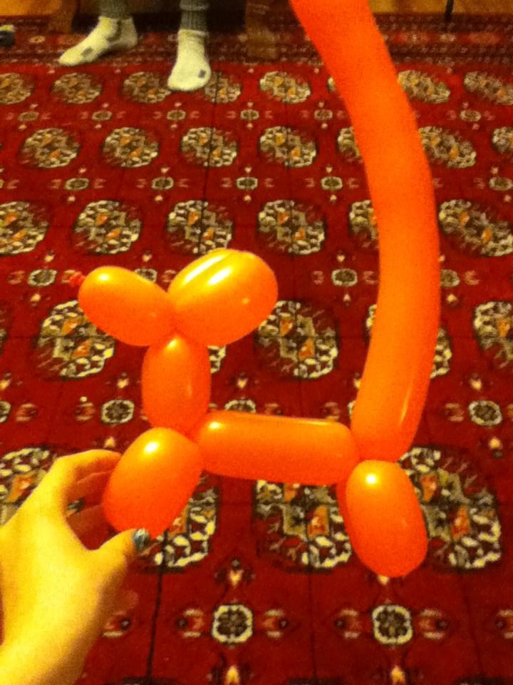 Balloon Dog