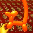 Balloon Dog