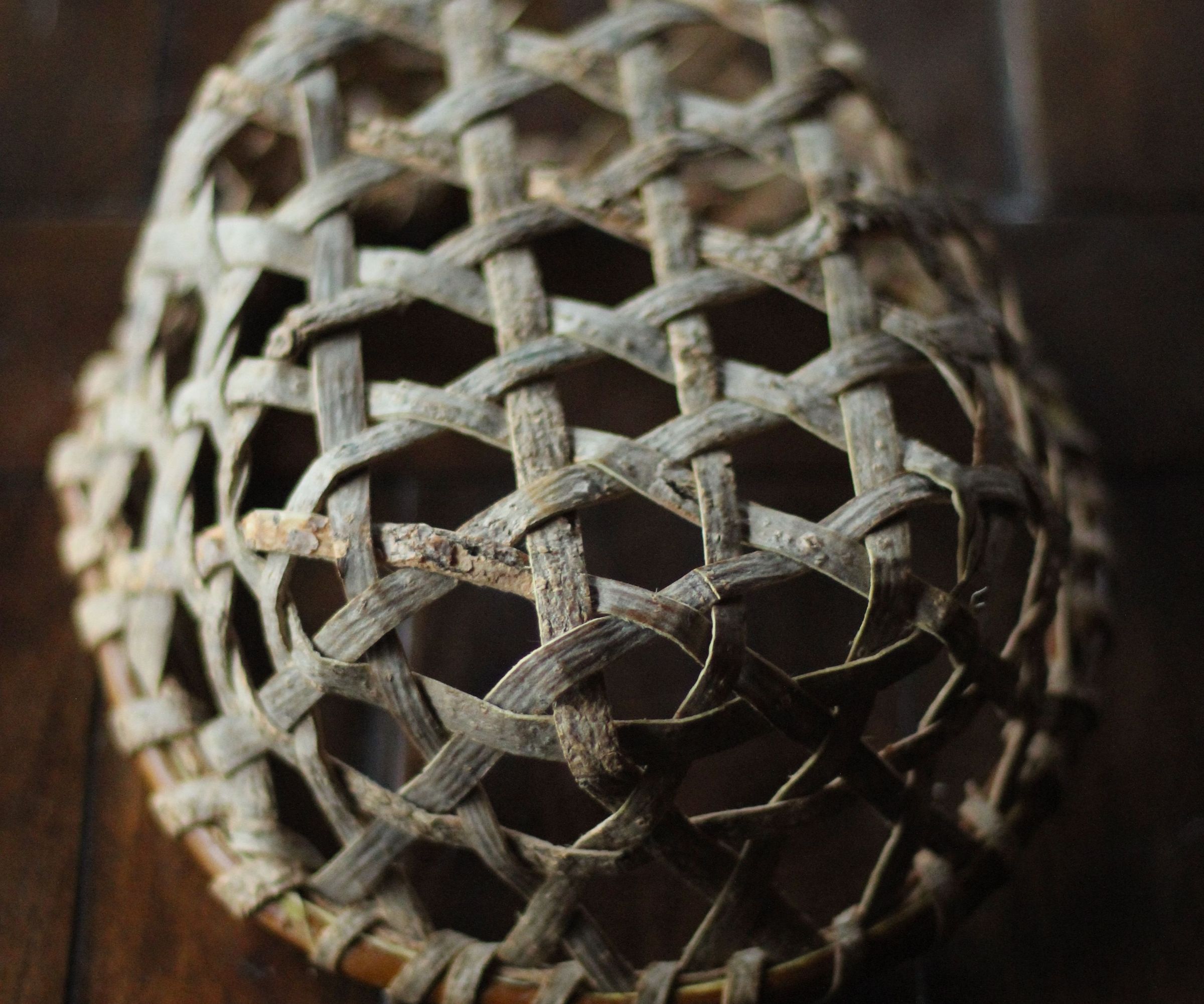 Harvesting Bark From Downed Trees for Baskets