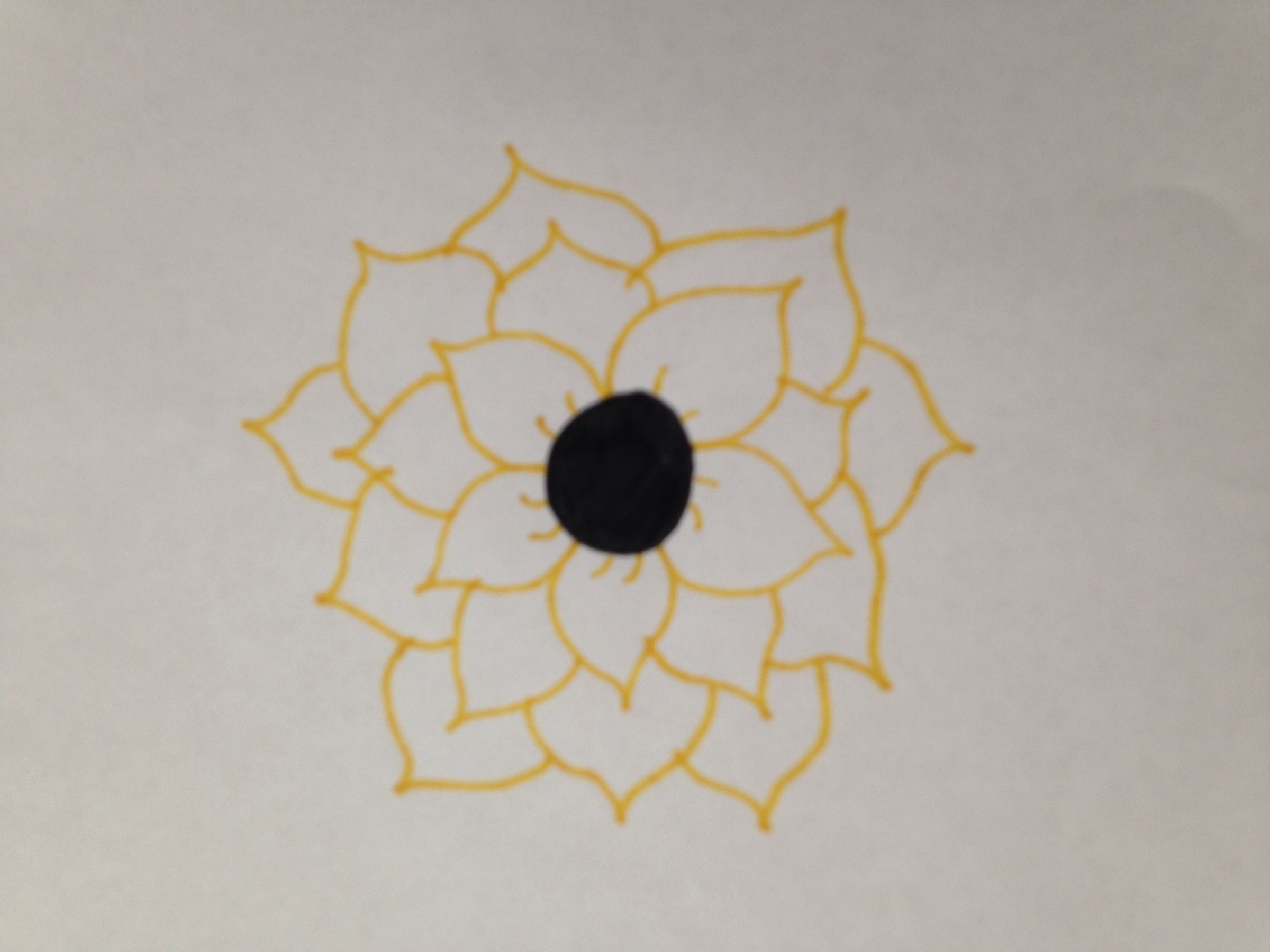 How to Draw a Sunflower