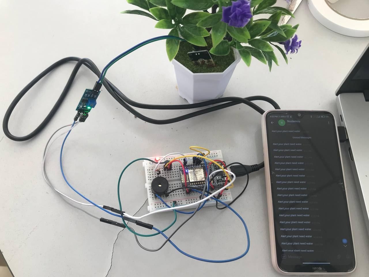 Smart Garden Alarm