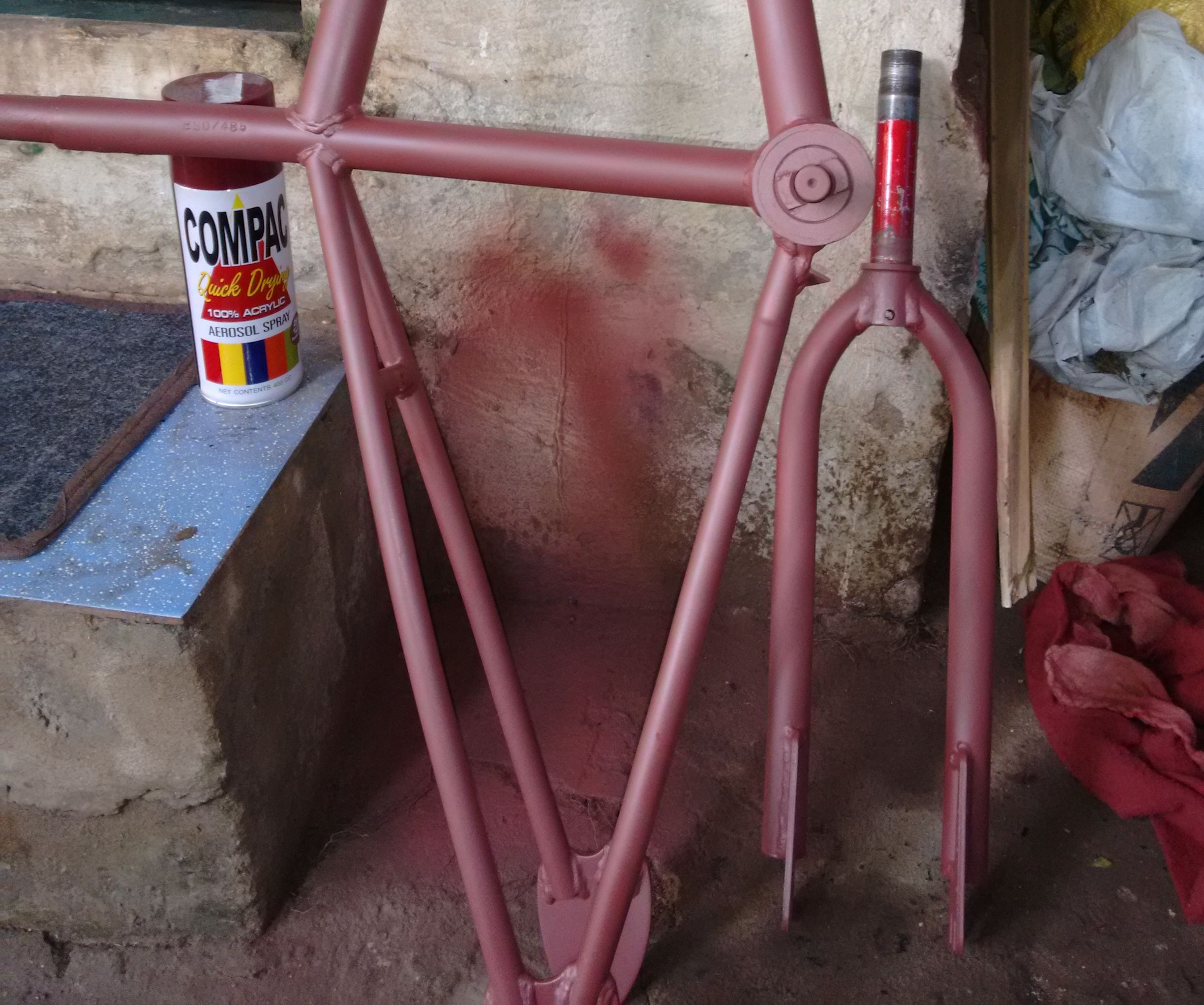 BMX bike custom paint