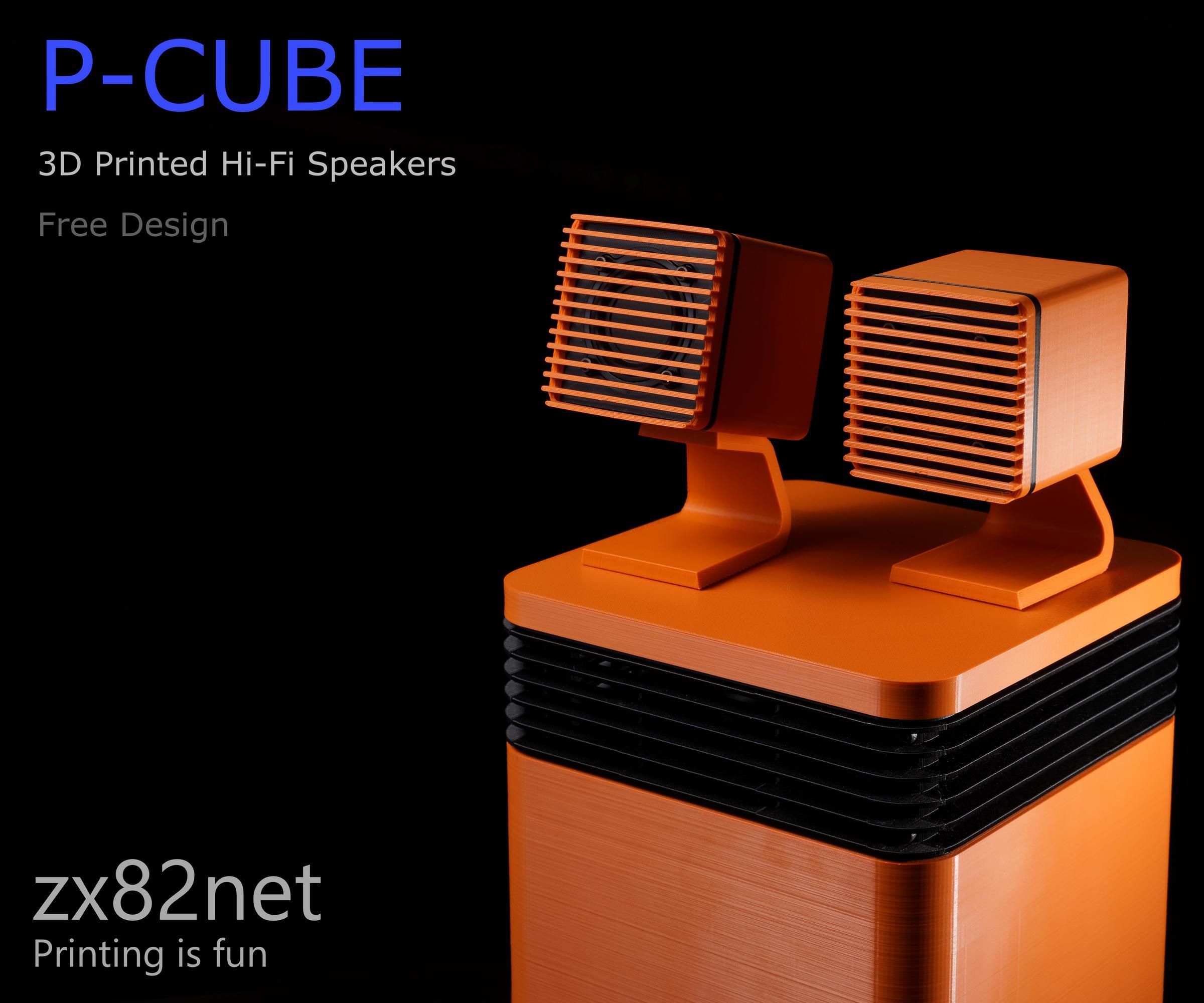 P-CUBE Speaker System