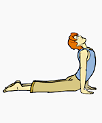 !! THE SUN SALUTATION !! (SURYANAMASKAR )