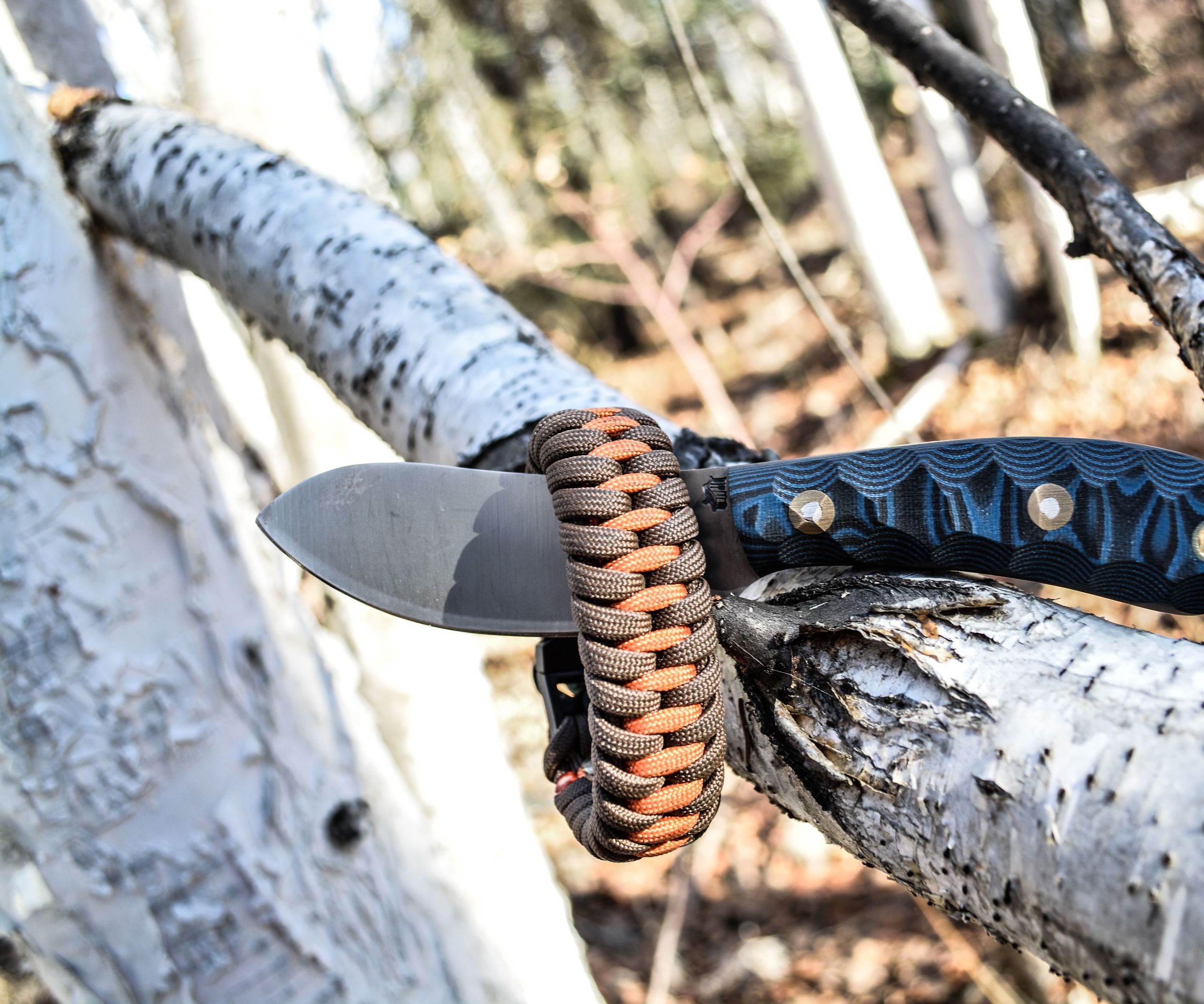 How to Start a Flint and Steel Fire