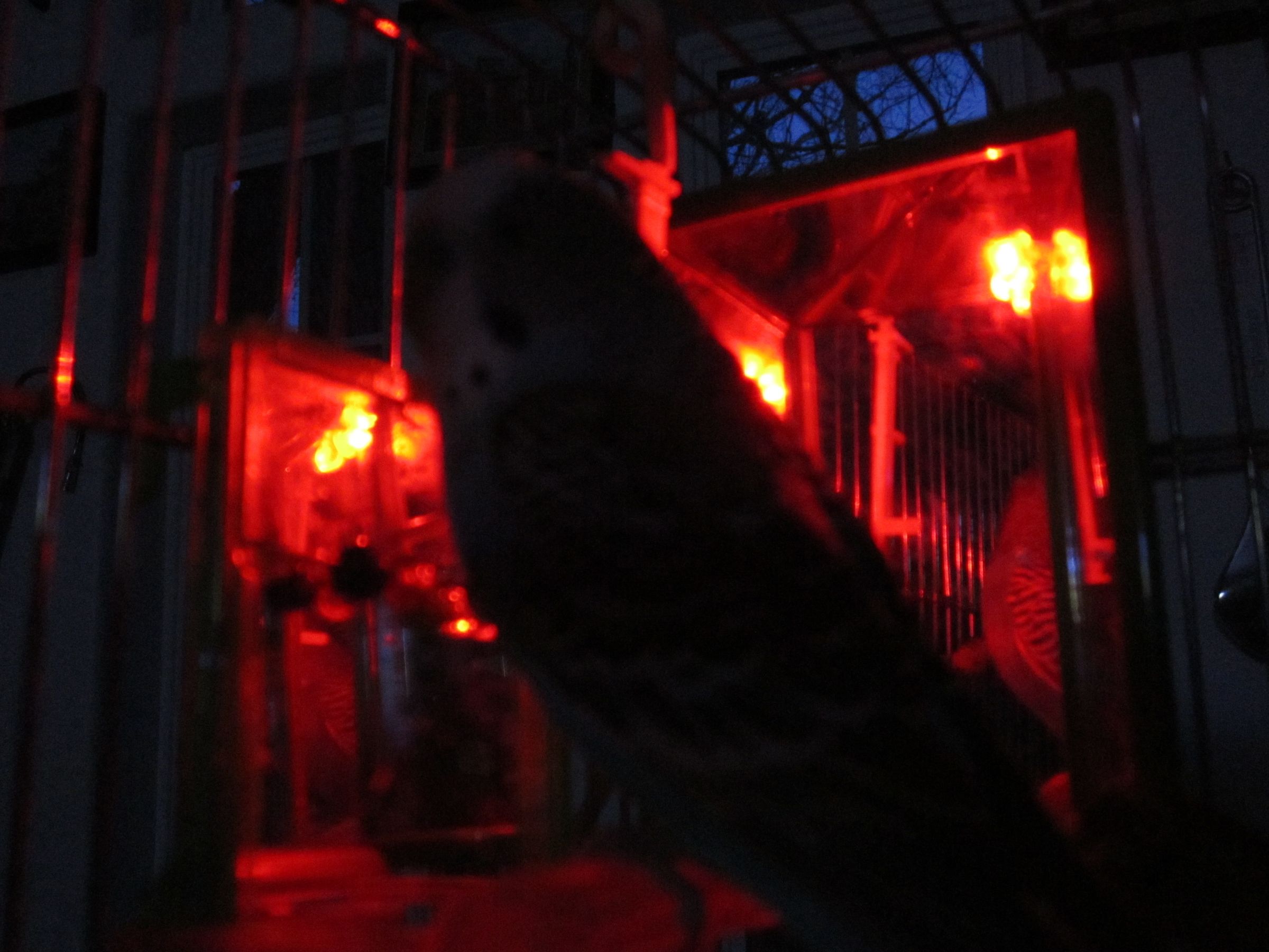 Premium Bird Cage Lights - Safe LED Lighting for Birds | M&M Cage Comp