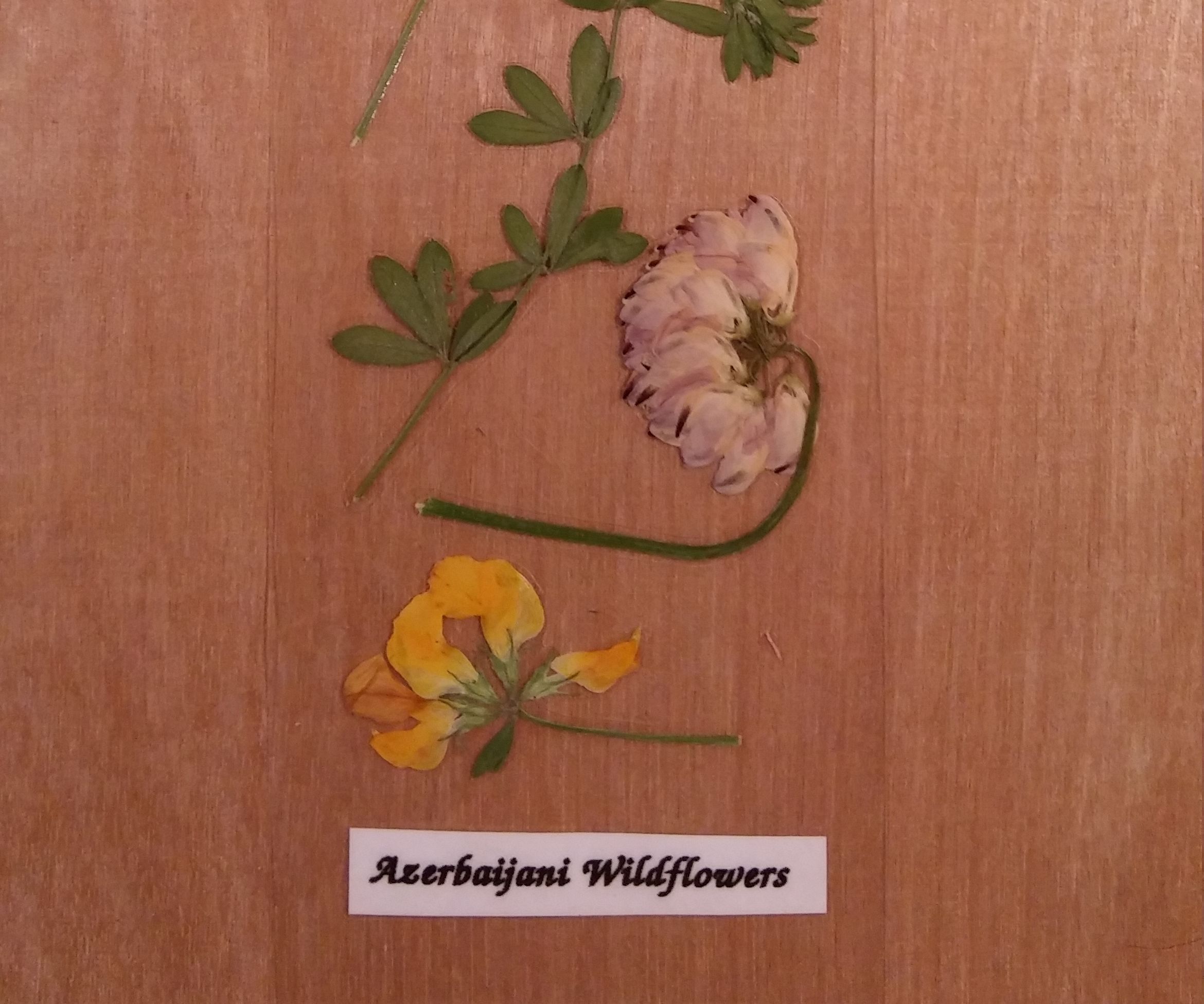 Bookmark With Wildflowers