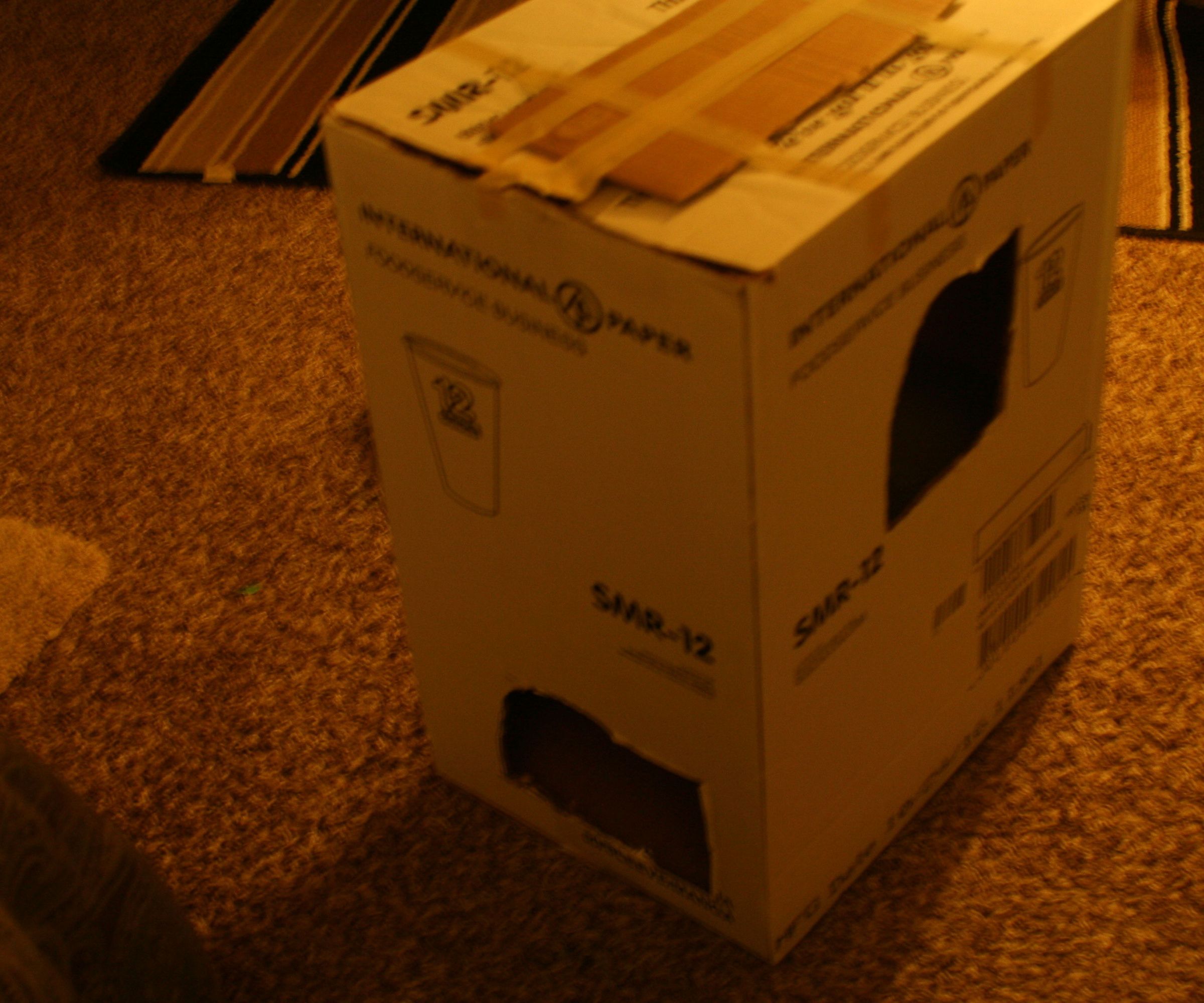 Imprompt cat house out of a carboard box