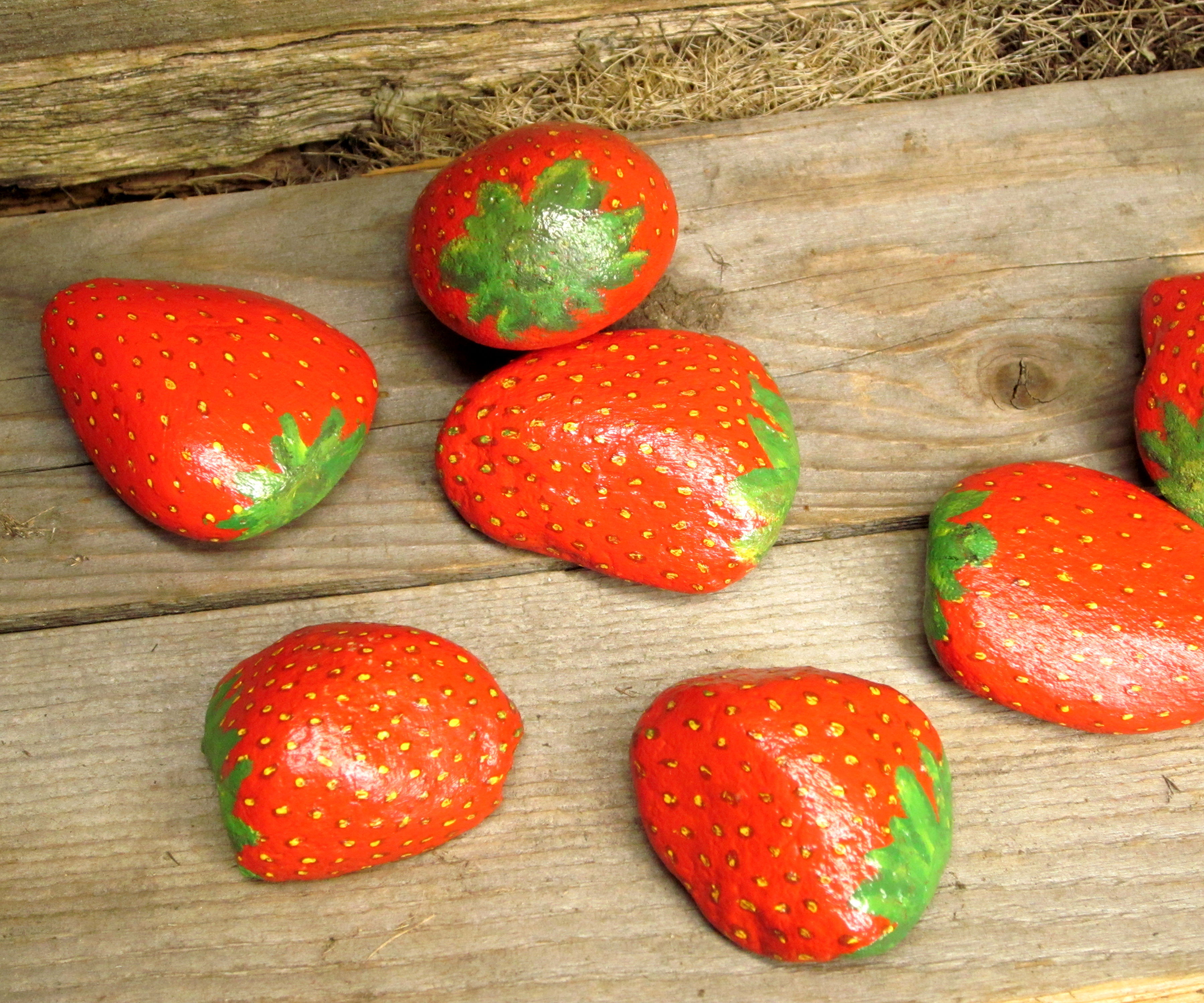 Decoy Strawberry Rocks to Deter Bird Burglars