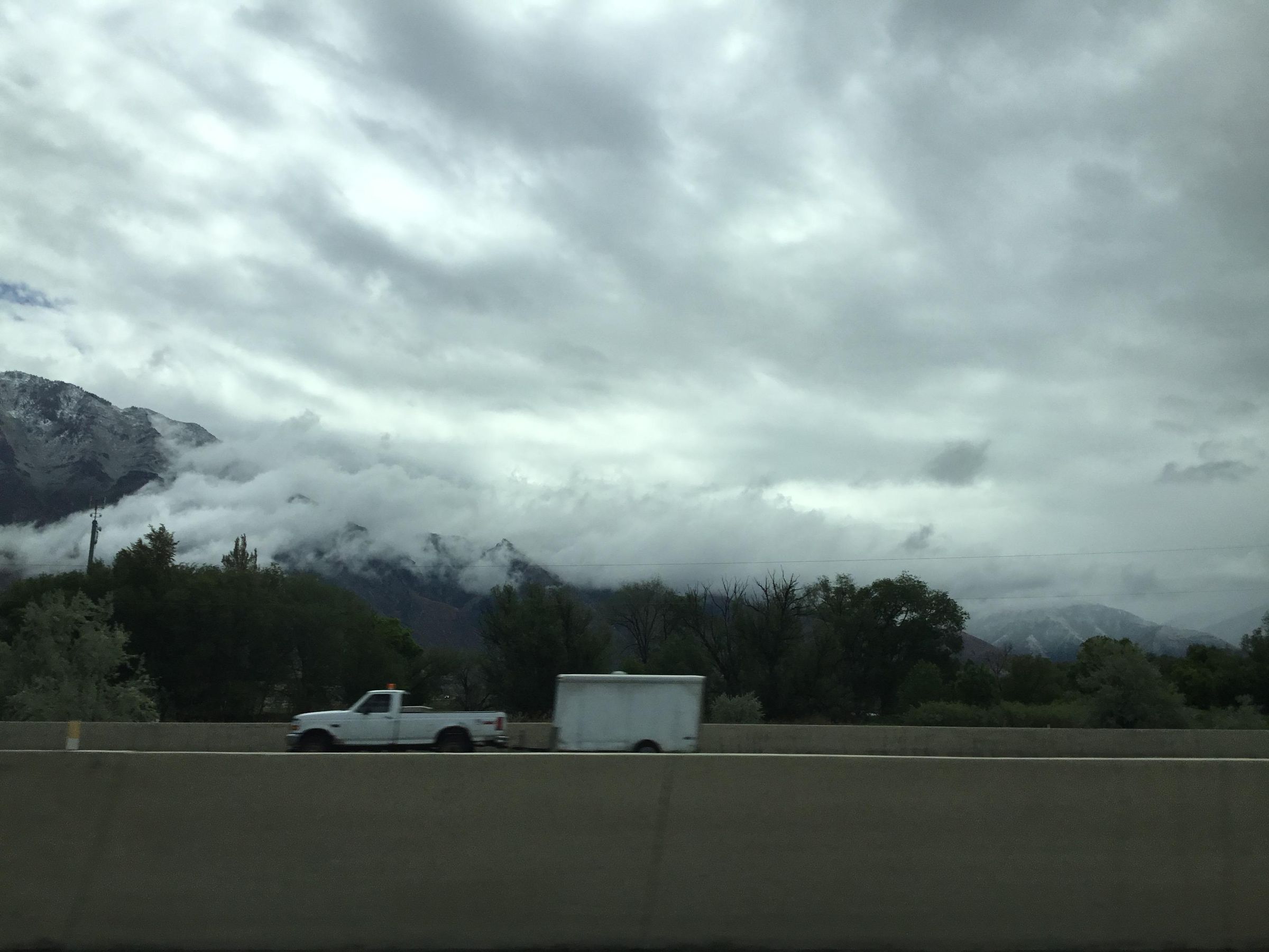 CardboardANDCrushed99