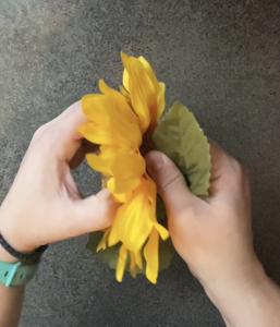 Disassemble the Sunflower