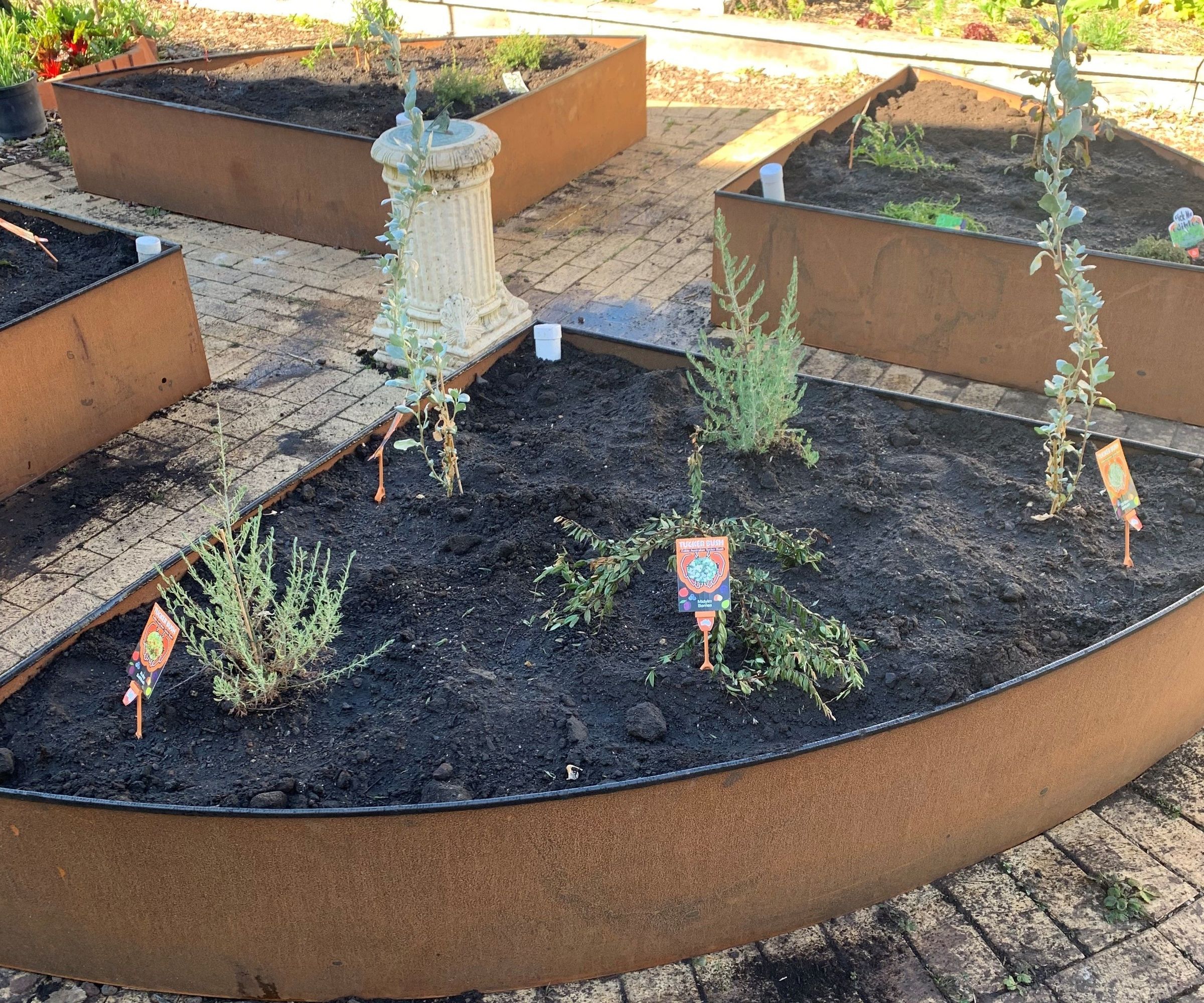 Corten Steel Wicking Beds