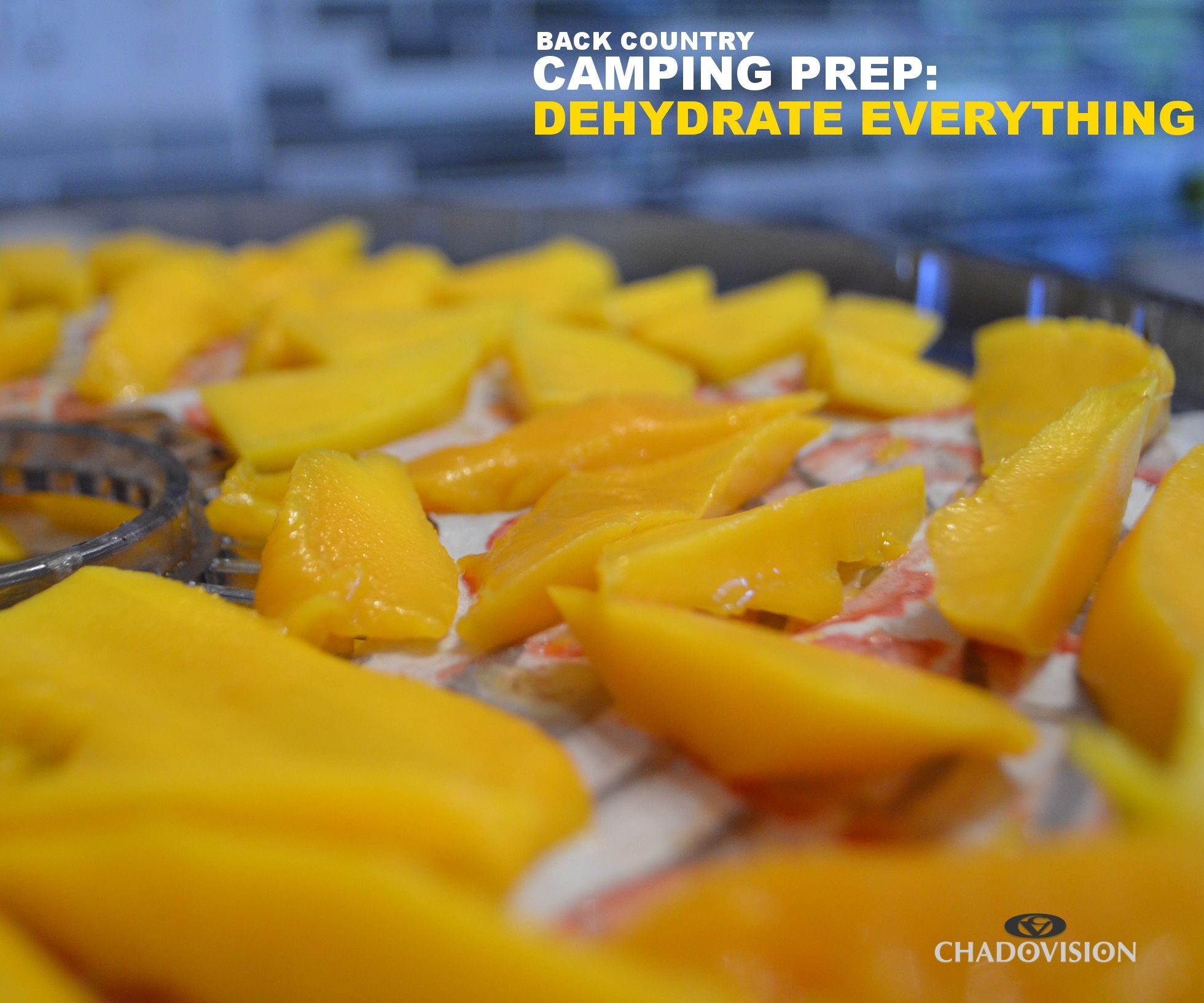 Back Country Camping Prep: Dehydrate Everything