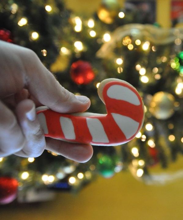 Easy Christmas Cookie Decorations for Santa