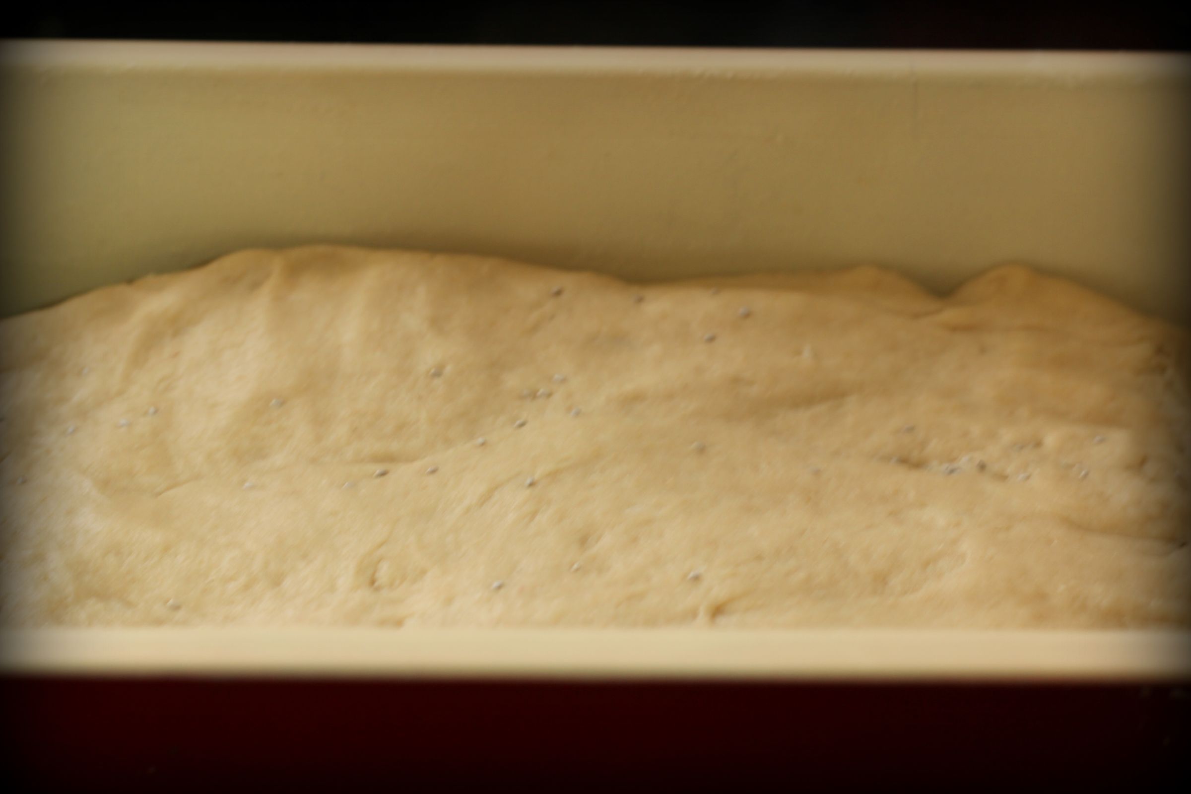 Brown Bread Baked in Convection Oven 5 Steps (with Pictures