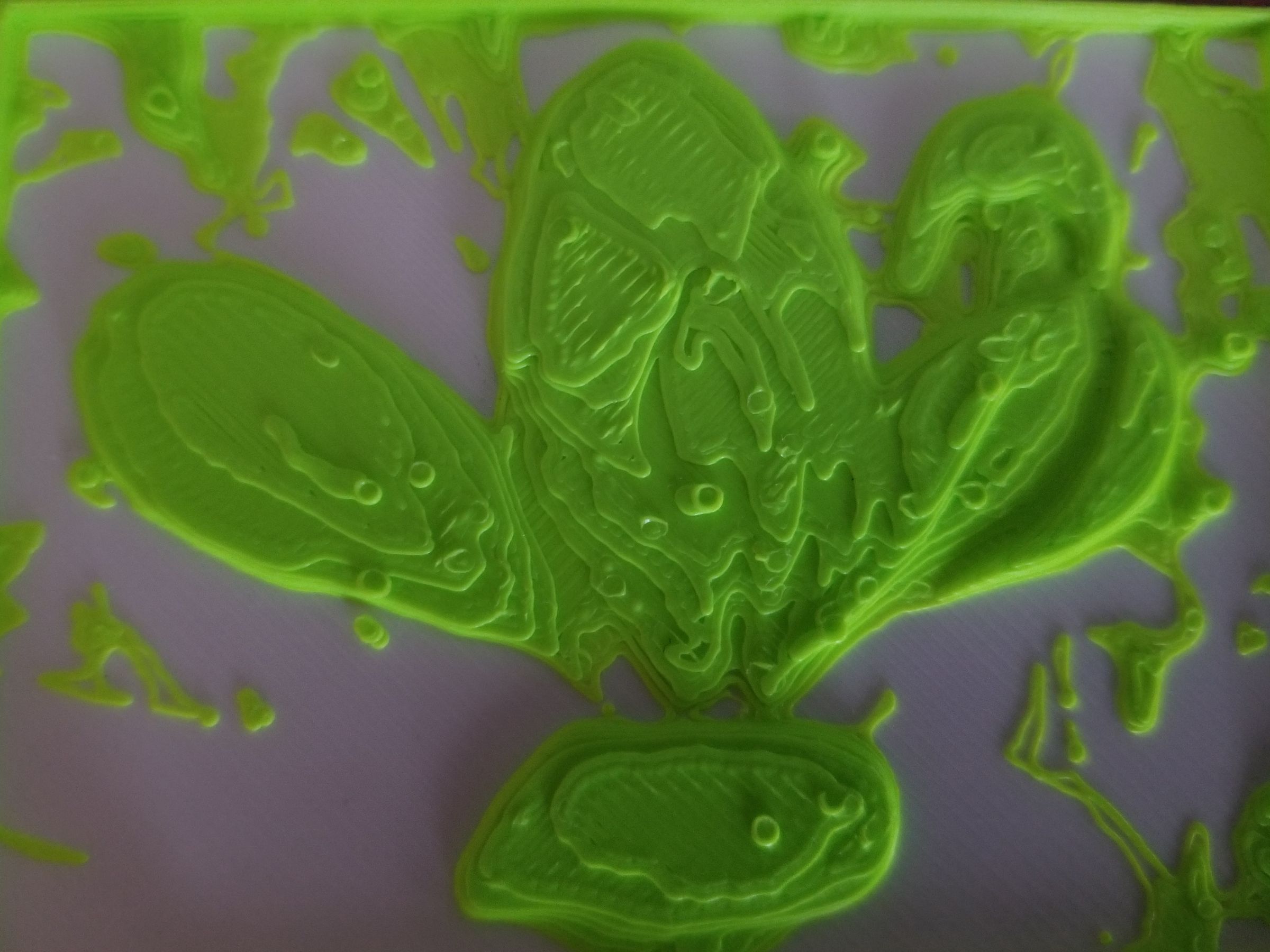 Dual Color 3d Printed Image : 4 Steps (with Pictures) - Instructables