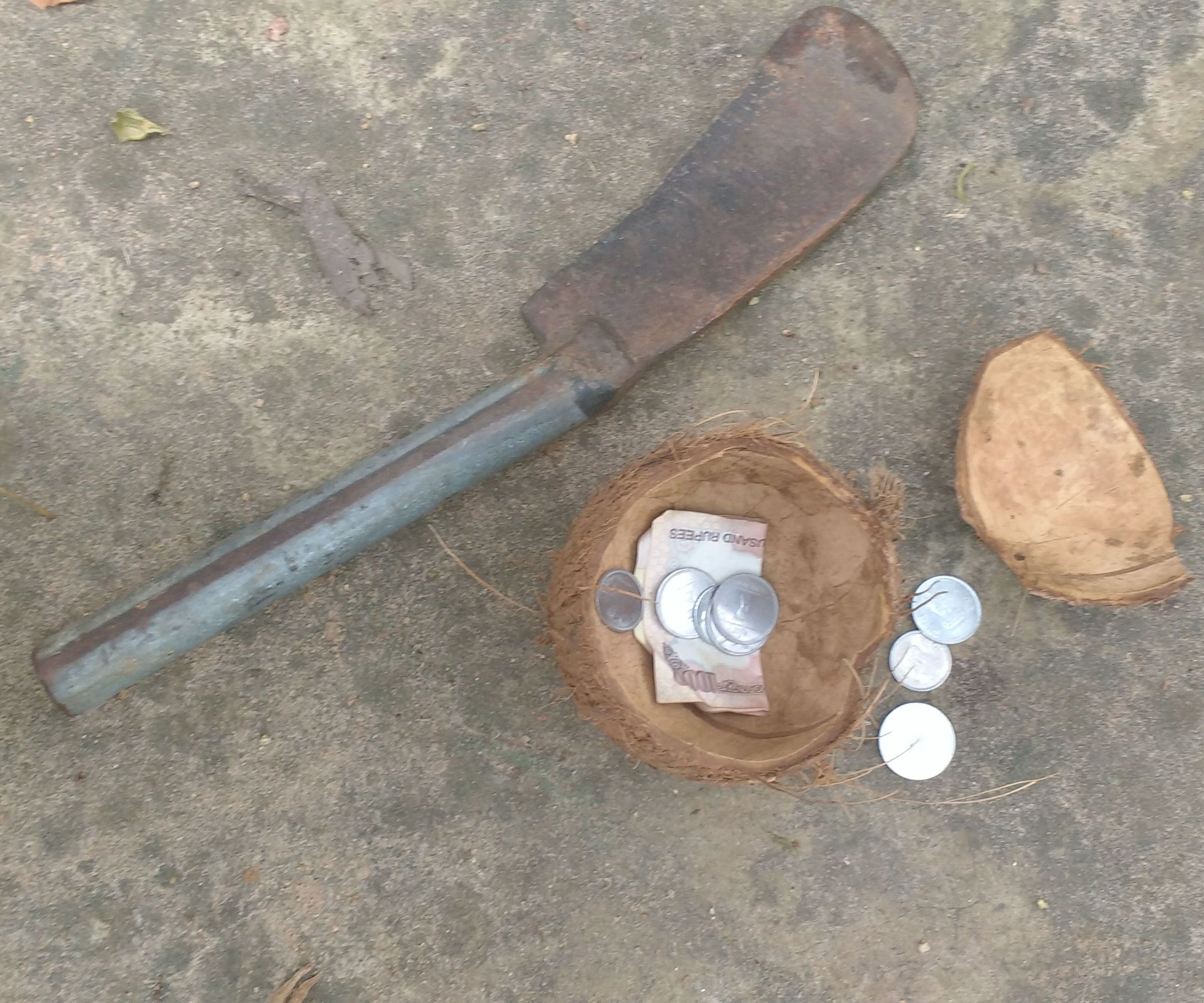 Simple cocunut piggy bank