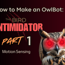 How to Make an OwlBot: the Bird Intimidator – Part 1: Motion Sensing