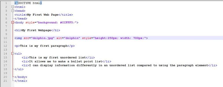 Your Finished Code Should Look Similar to the Following (file Name and Dimensions Will Vary):